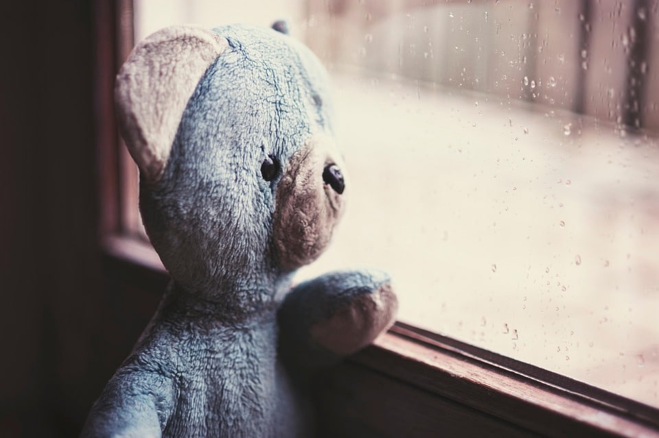 Sarasota's Hidden Gem: Elevate Your Carpet Cleaning Business with Effective SEO Tactics