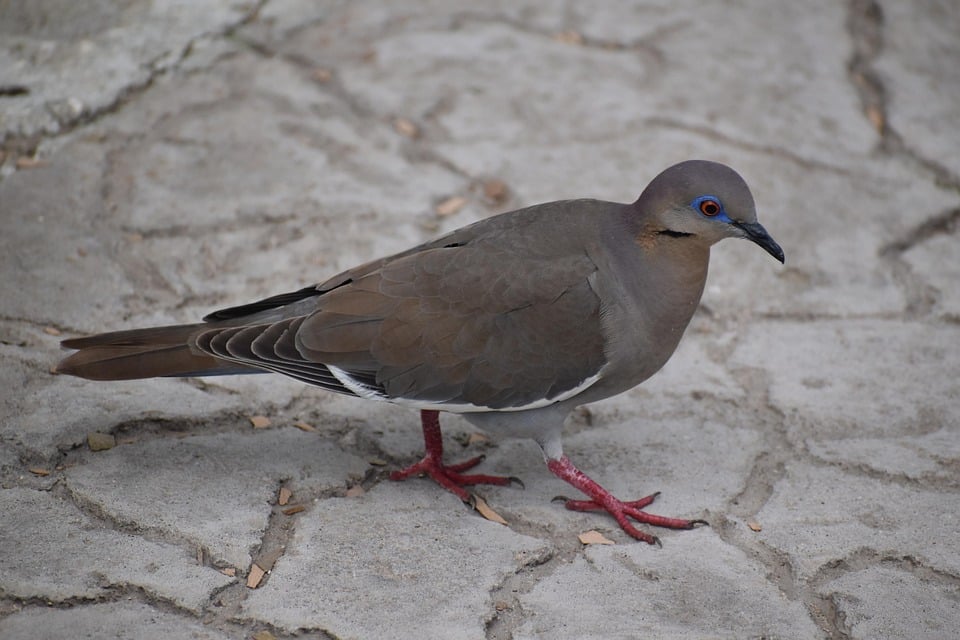 Sarasota’s Secret Weapon: Boost Your Flooring Business Through Effective SEO Strategies