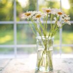 Shining a Light on Growth: The Benefits of PPC Marketing for Sarasota Window Cleaners