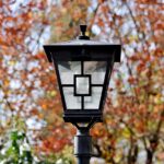 Shining a Light on Success: Why SEO is Essential for Solar Panel Installers in Sarasota