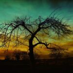 Sowing the Seeds of Success: Why Every Bradenton Tree Service Needs an SEO Game Plan