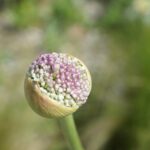 Spa-tacular Results: Why Sarasota Day Spas Should Embrace PPC for Local Success