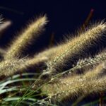 Sparkling Success: How PPC Advertising Can Transform Your Bradenton House Cleaning Business