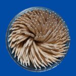 Spin Your Way to Success: How SEO Can Drive More Customers to Your Bradenton Dryer Vent Cleaning Services