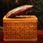 Stay Ahead of the Swarm: How Effective SEO Can Transform Sarasota Pest Control Businesses