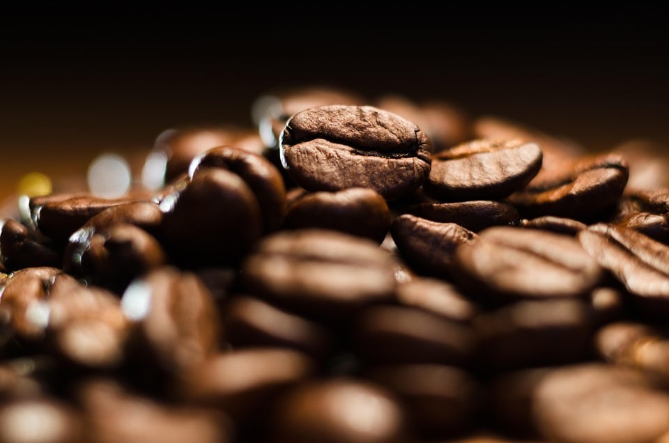 Steaming Ahead: The Essential Role of SEO for Coffee Shops in Bradenton's Competitive Market