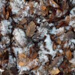 Step Up Your Game: The Hidden Advantages of SEO for Flooring Installers in Bradenton