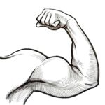 Sweat it Out Online: Unlocking the Hidden Benefits of SEO for Bradenton's Gym Owners