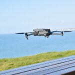 “Targeted Solutions: Why Sarasota Pest Control Companies Can't Afford to Ignore PPC”