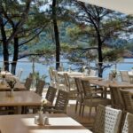 Taste the Benefits: How PPC Advertising Can Spice Up Your Sarasota Restaurant's Revenue!