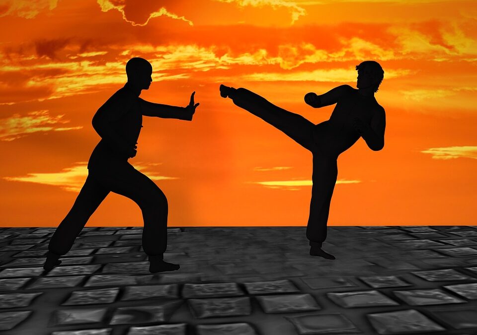 The Black Belt Approach to Marketing: Mastering PPC to Attract More Students to Your Sarasota Martial Arts School