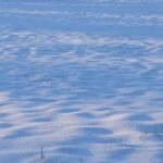 The Clean Sweep: Elevate Your Bradenton Carpet Cleaning Business with Effective SEO Techniques