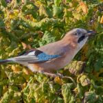 The Ripple Effect: Boosting Your Water Damage Restoration Business in Bradenton with Proven SEO Strategies