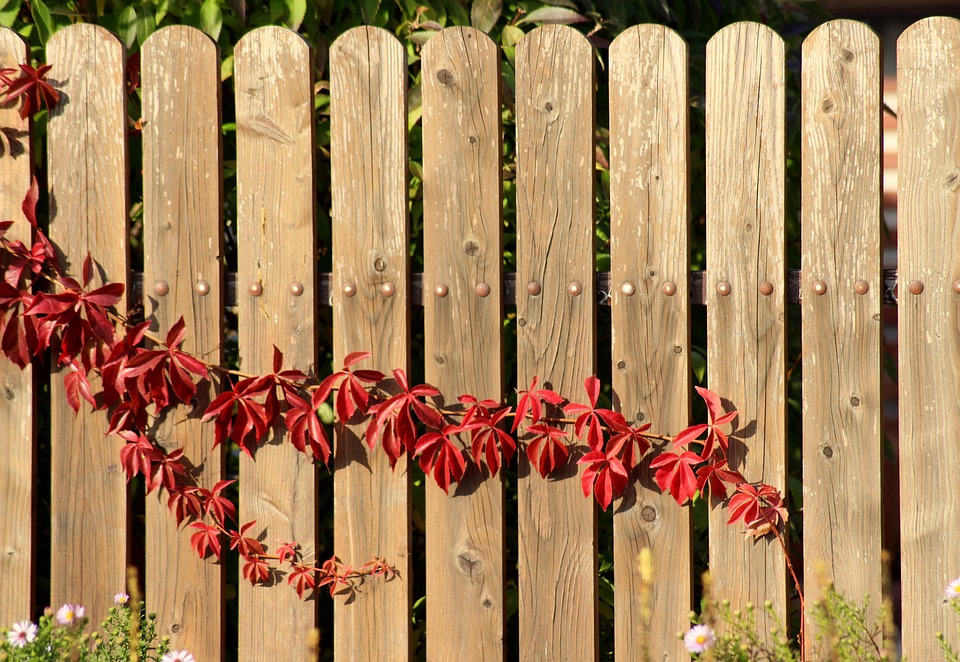 The Secret to Standing Out: Why Bradenton Fence Installers Should Invest in PPC Advertising