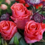 The Serenity of Search: How SEO Boosts Visibility and Bookings for Sarasota Day Spas