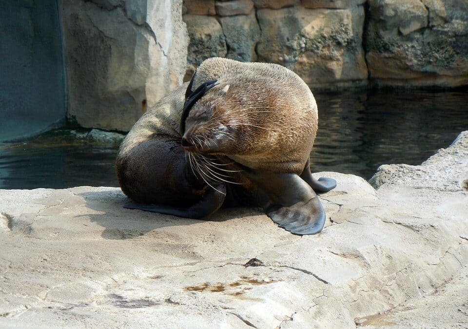 Transform Your Personal Training Business: Unlocking the Power of SEO for Bradenton Entrepreneurs