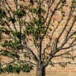 Transform Your Sarasota Landscape: Boosting Business with Smart SEO Techniques