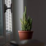 Transforming Your Home Remodeling Business: How SEO Can Open New Doors in Bradenton