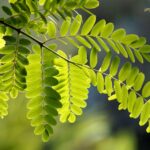 Turning Clicks into Clients: How PPC Marketing Can Elevate Your Bradenton Contracting Business