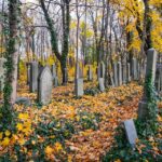 Turning Grief into Growth: How PPC Can Elevate Your Funeral Home Business in Bradenton