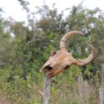 Turning Soil into Gold: Unlocking the ROI of PPC for Land Grading Services in Bradenton