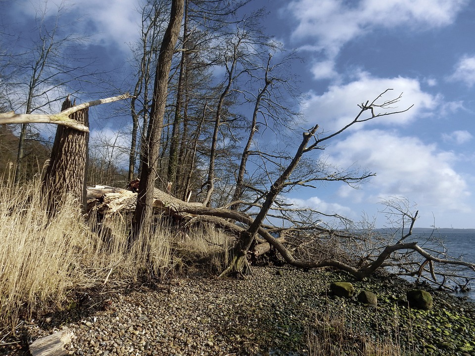 Turning Tides: How a Strong SEO Strategy Can Transform Your Water Damage Restoration Business in Bradenton