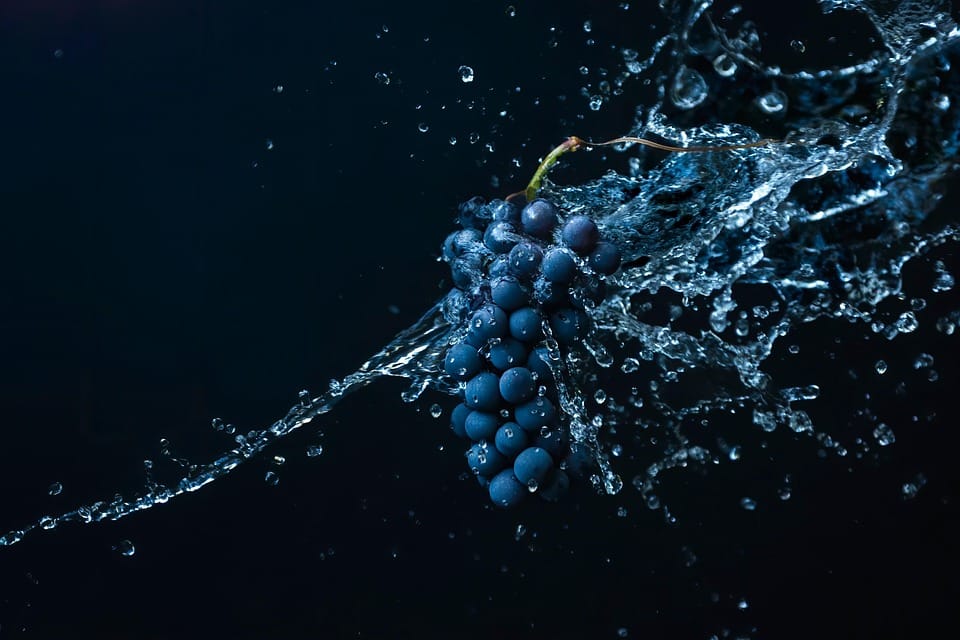 “Twirl into Success: 5 Reasons Sarasota Dance Studios Should Embrace PPC Marketing”