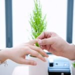 Tying the Knot with Clicks: The Essential PPC Strategies Every Sarasota Wedding Planner Needs!