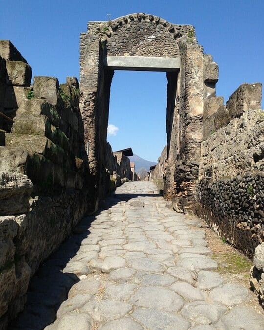 Uncover New Clients: The Hidden Benefits of PPC for Sarasota's Excavation Entrepreneurs