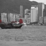 Uncovering Hidden Profits: How Effective SEO Can Elevate Your Junk Hauling Service in Bradenton