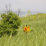 Unearth Success: 5 SEO Strategies That Will Elevate Your Land Grading Company in Bradenton