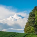 Unearth Success: The Top 5 SEO Strategies for Bradenton Land Grading Businesses