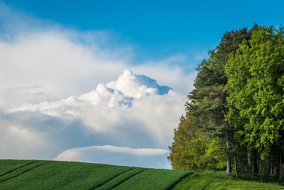 Unearth Success: The Top 5 SEO Strategies for Bradenton Land Grading Businesses