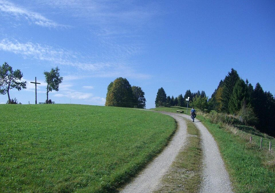 Unleashing Growth: The Power of Pay-Per-Click Advertising for Sarasota’s Favorite Dog Walkers