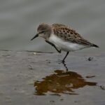 Unlock Your Client Base: 5 SEO Secrets Every Bradenton Accountant Should Know