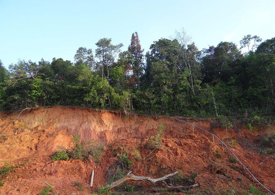 Unlock the Power of PPC: A Game Changer for Sarasota's Land Grading Entrepreneurs!