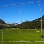 Unlocking Growth: How PPC Advertising Can Secure Your Sarasota Fence Installation Business