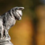 Unlocking Growth: Why Sarasota Funeral Homes Need SEO to Connect with Local Families