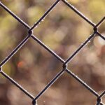 Unlocking Local Success: How Pay-Per-Click Ads Can Elevate Your Sarasota Fence Installation Services