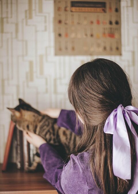 Unlocking Potential: How PPC Advertising Can Transform Your Home Organizing Business in Bradenton