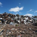 Unlocking Profit Potential: Why Every Sarasota Junk Hauler Needs a Strong SEO Strategy