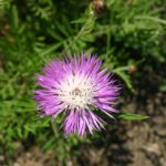 Unlocking Serenity: How SEO Can Transform Your Bradenton Day Spa into a Local Sanctuary