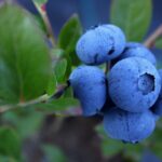 Unlocking Success in Sarasota: How Targeted PPC Can Elevate Your Kitchen Remodeling Game!