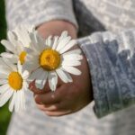 Visibility Matters: 5 SEO Strategies to Elevate Your Sarasota Child Care Center Above the Rest