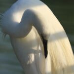 Why Bradenton Business Owners Should Prioritize Dryer Vent Cleaning for a Stronger Online Presence