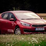 Why Every Bradenton Window Replacement Business Needs a PPC Playbook: Maximize Your Local Reach!