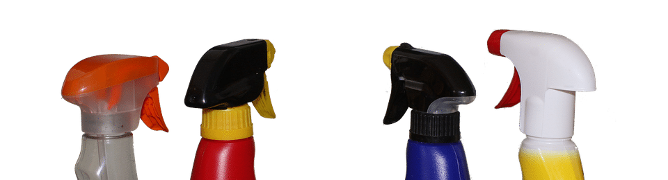 Why Every Carpet Cleaner in Bradenton Needs SEO: Strategies to Stand Out and Grow