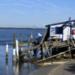 Why Local SEO is a Game Changer for Sarasota's Water Damage Restoration Companies