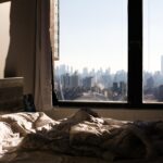 Windows of Opportunity: Why Every Bradenton Window Cleaner Should Invest in PPC Advertising