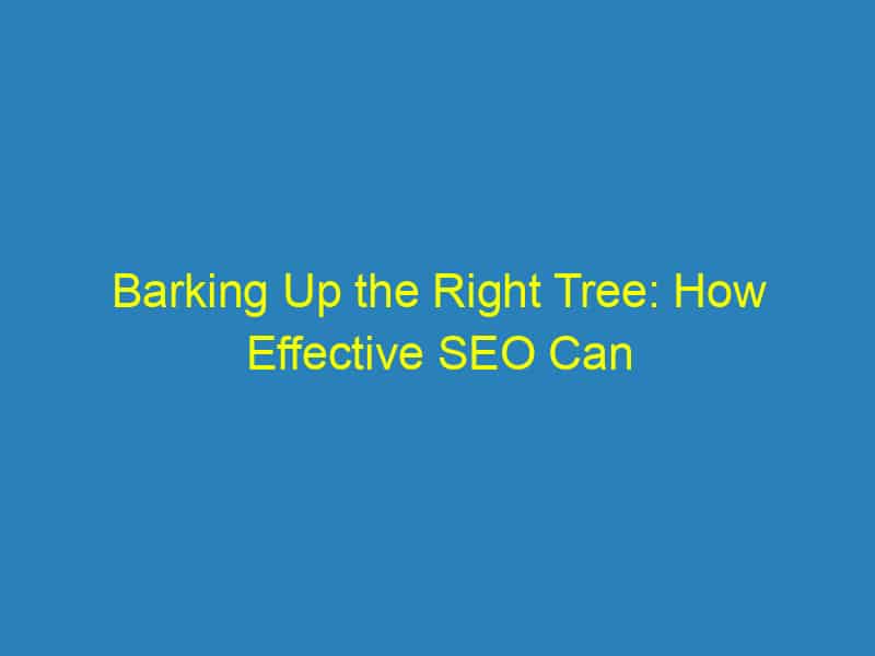 Barking Up the Right Tree: How Effective SEO Can Empathetically Elevate Your Veterinary Practice in Bradenton